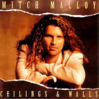 Mitch Malloy : Ceilings and Walls